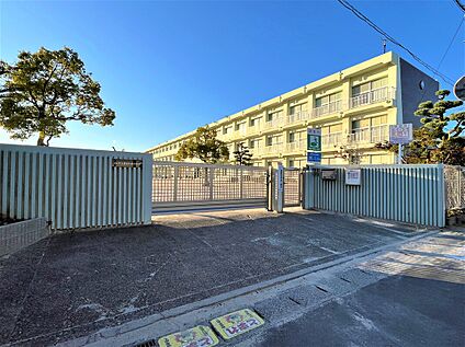 甚目寺南小学校 約690m(徒歩約9分)