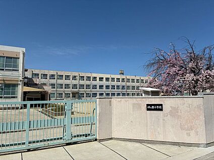 神の倉小学校 約780m(徒歩約10分)