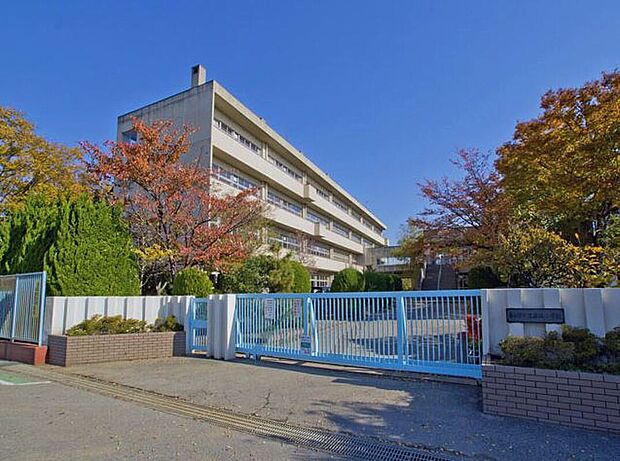 藤塚小学校(約1,100m)