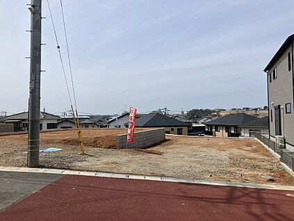  現地写真