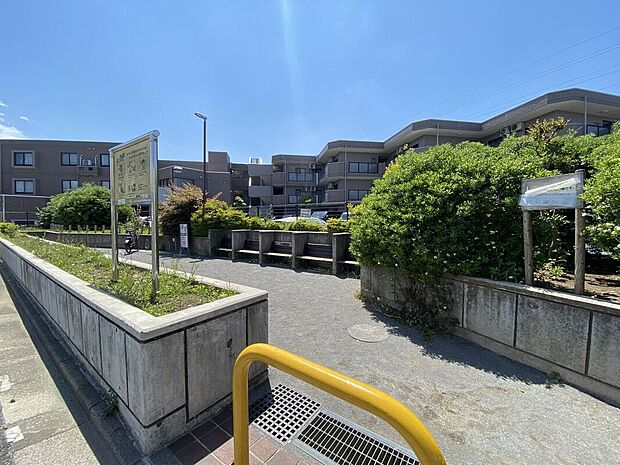 南大泉かたまち緑地(約200m)