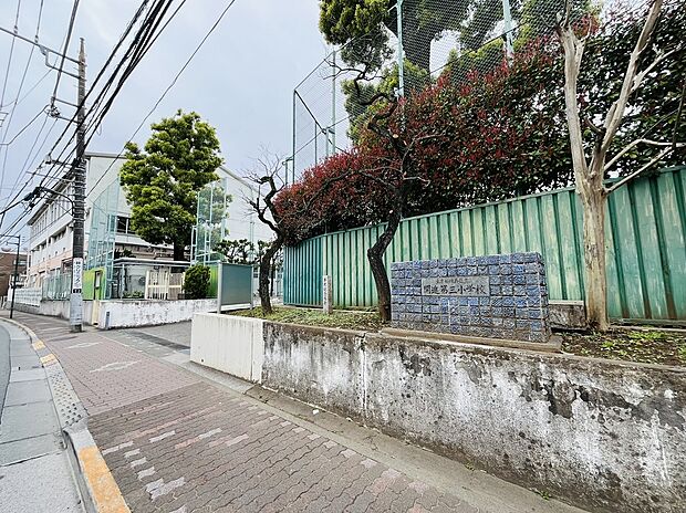 練馬区立開進第三小学校(約320m)