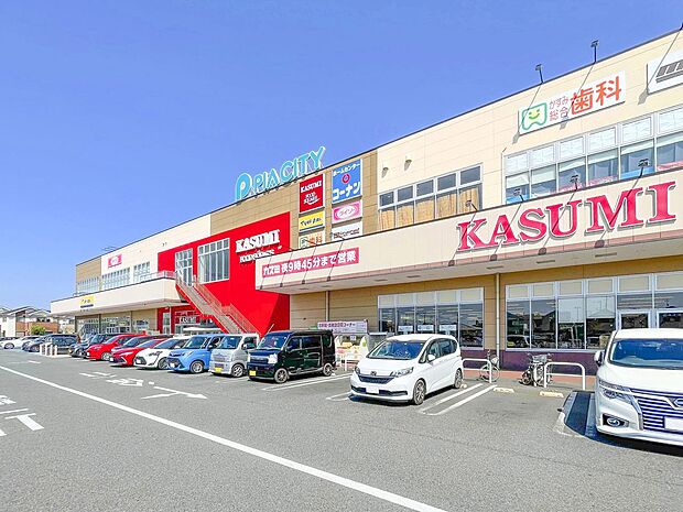 ピアシティ柏中新宿(約260m)