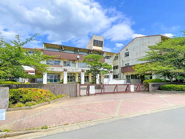 新松戸西小学校（約1,000m）