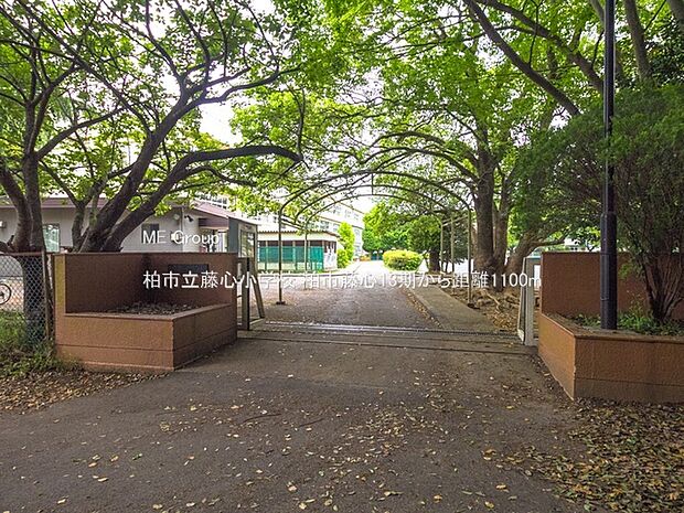 柏市立藤心小学校（約1,100m）