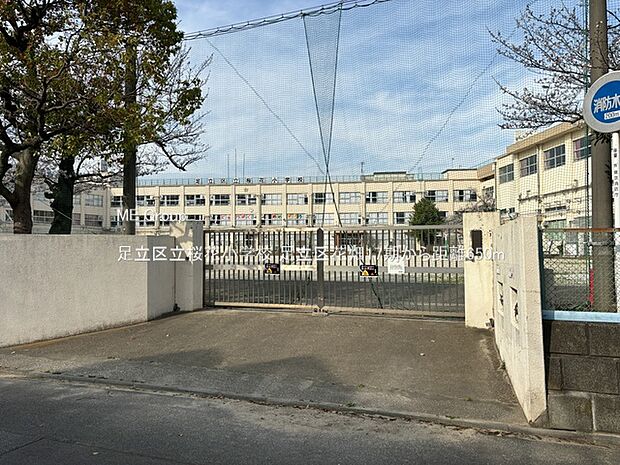 足立区立桜花小学校(約650m・徒歩9分)
