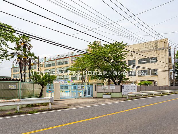 川口市立上青木小学校(約200m・徒歩3分)