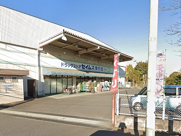ドラッグセイムス 安行店（約200m・徒歩3分）