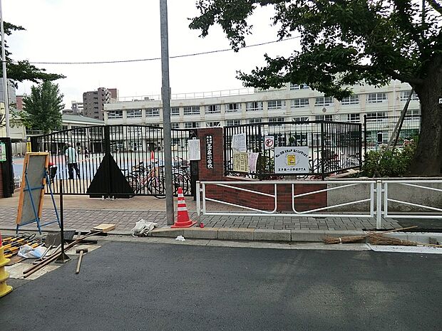 北区立王子第一小学校(約500m)