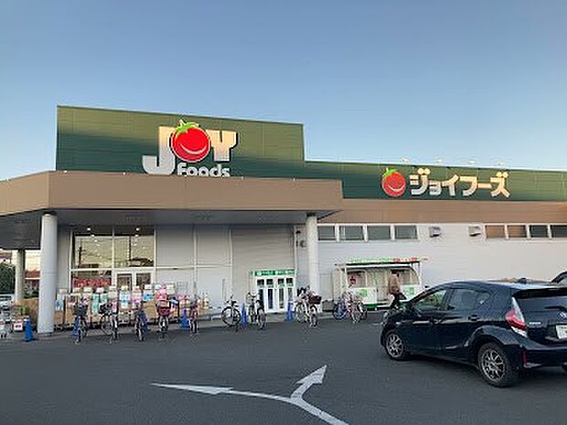 ジョイフーズ越谷大袋店(約800m)