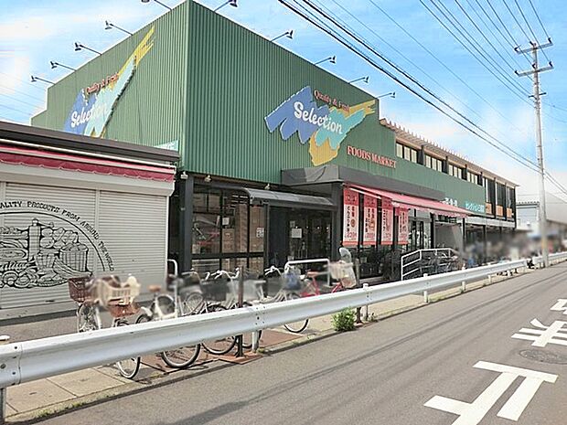 セレクション三郷店（約200m・徒歩3分）