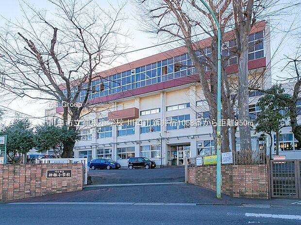 川口市立神根小学校（約950m）