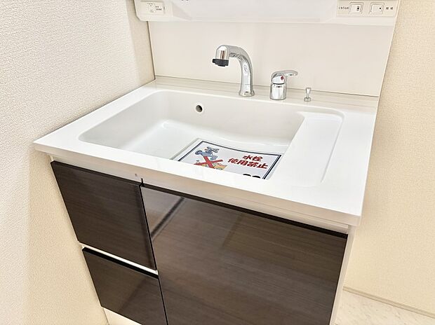 【その他設備(ハンドシャワー水栓)】ハンドシャワー付き！使いやすい洗面台。