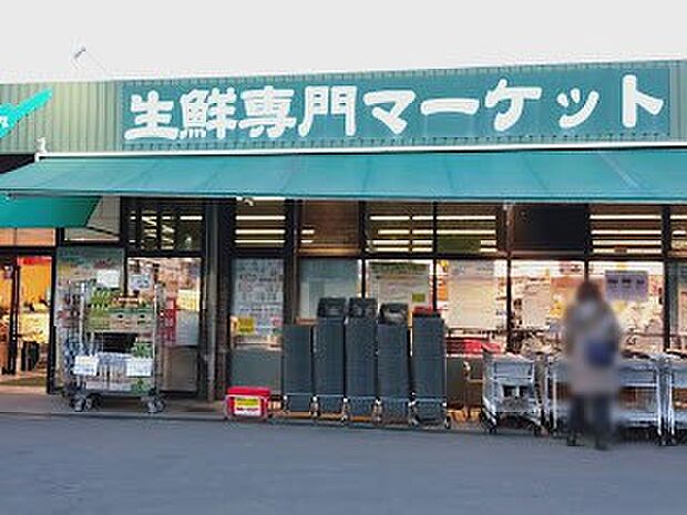 セレクション 西原店(約290m)