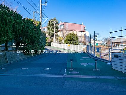 川口市立根岸小学校 870m(11分)