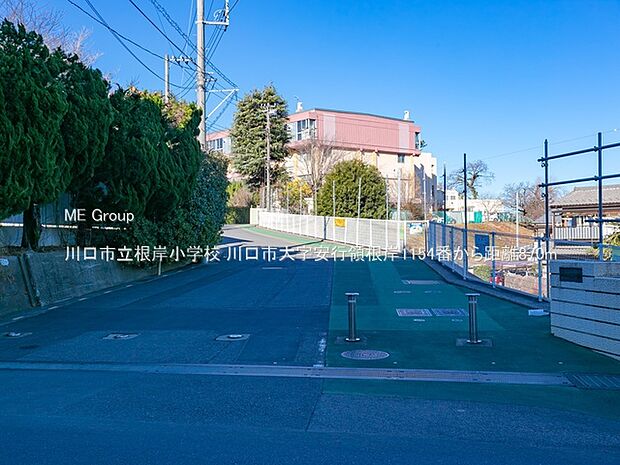 川口市立根岸小学校（約870m・徒歩11分）