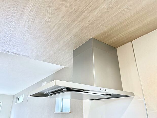 【その他設備(レンジフード)】基本的なお手入れはフィルターのみ!お手入れのしやすさも魅力です。