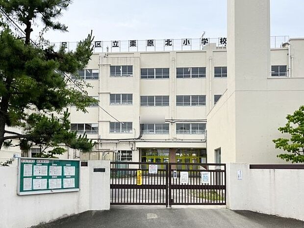 足立区立栗原北小学校(約300m・徒歩4分)