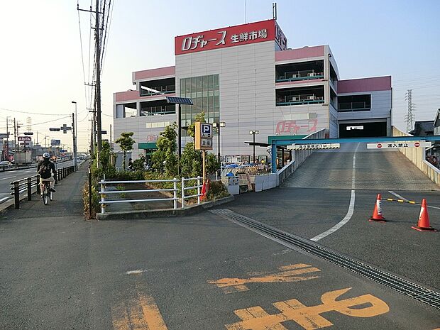 ロヂャース越谷店（約700m）