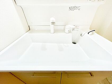 その他設備(ハンドシャワー水栓)