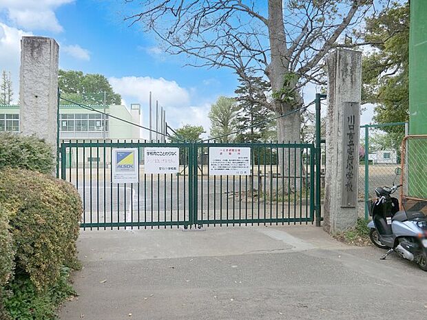 川口市立安行小学校(約800m・徒歩10分)