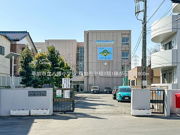 草加市立八幡小学校（約800m）