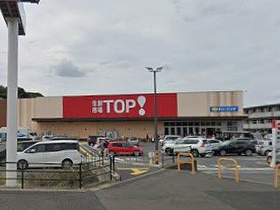 生鮮市場TOP！ 中和倉店（約800m）