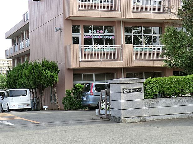 所沢市立椿峰小学校（約430m）