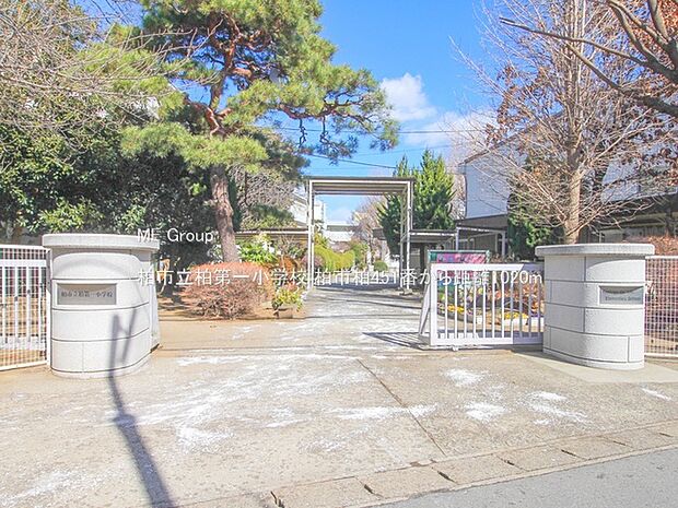 柏市立柏第一小学校（約1,020m・徒歩13分）