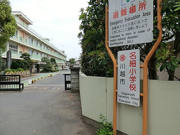 川越市立名細小学校（約800m・徒歩10分）