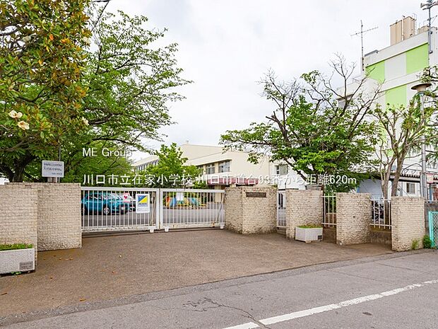 川口市立在家小学校（約620m）