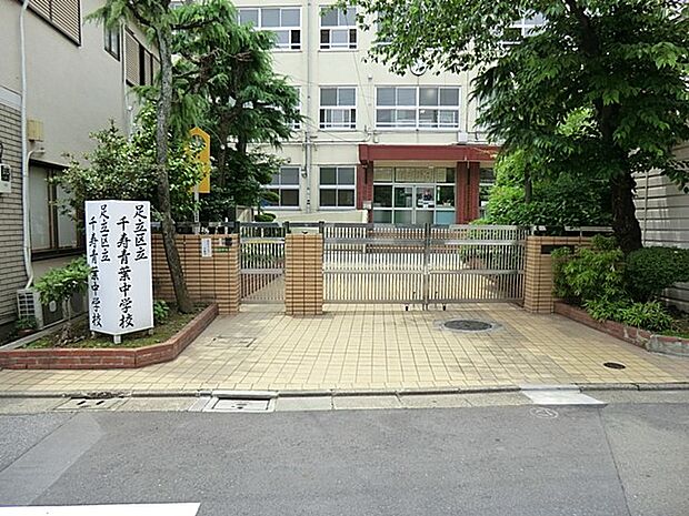 足立区立千寿青葉中学校(約800m・徒歩10分)