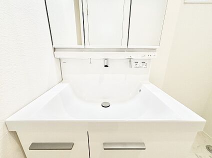 その他設備(ハンドシャワー水栓)