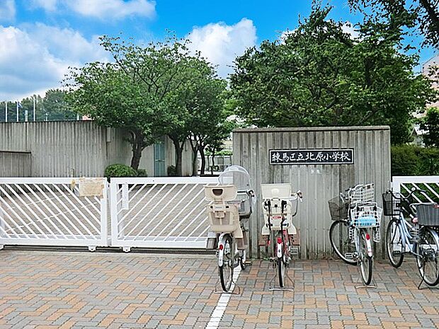 練馬区立北原小学校（約240m・徒歩3分）