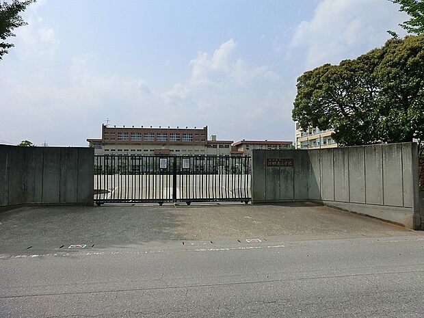 川口市立新郷南小学校（約450m・徒歩6分）