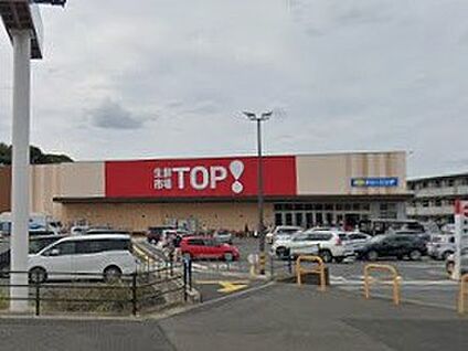 生鮮市場TOP 中和倉店 850m(11分)