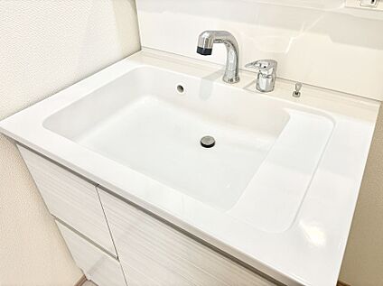 その他設備(ハンドシャワー水栓)
