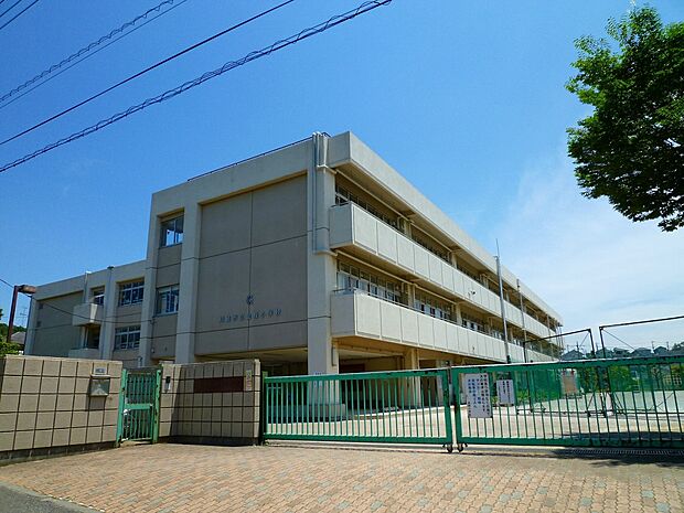 金程小学校(約850m)