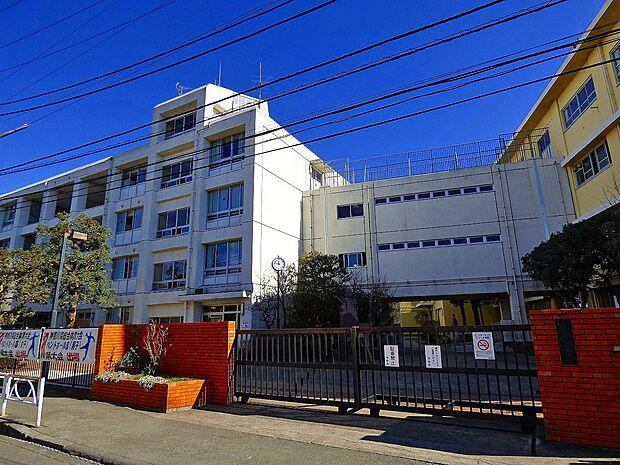 向丘中学校（約550m）