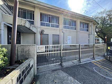 菊名小学校 500m