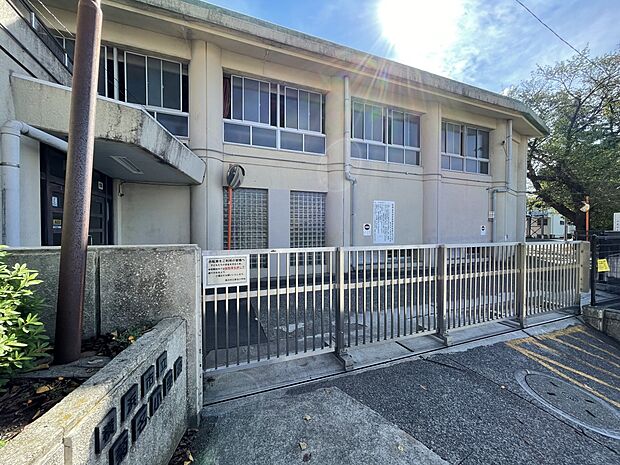 菊名小学校（約500m）
