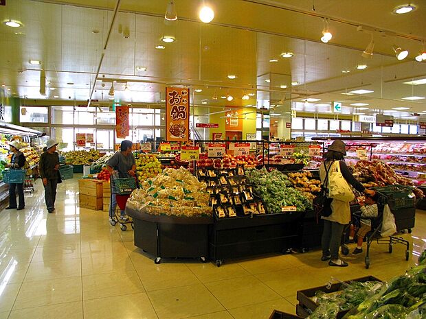 ヨークマート妙蓮寺店（約800m・徒歩10分）