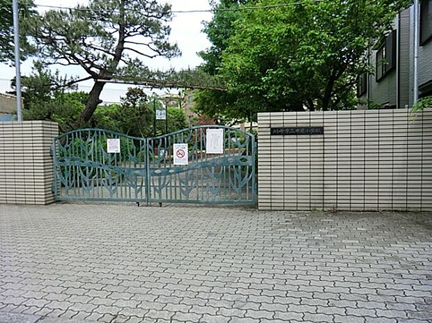 中原小学校(約850m)