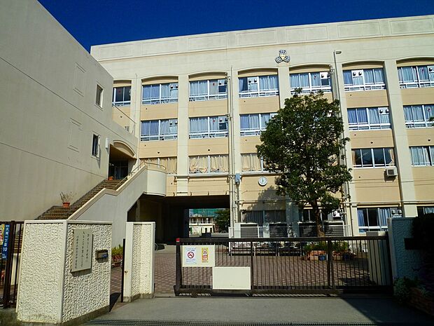 西高津中学校(約900m)