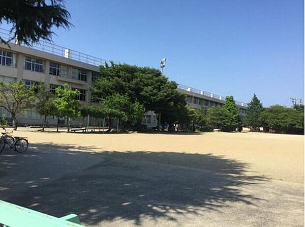 中田小学校（約500m）