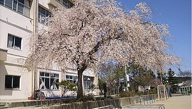 仙台市立金剛沢小学校(約683m)