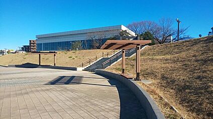中川左岸緑道公園 800ｍ
