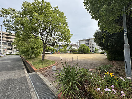 額原公園 16～35ｍ(徒歩約１分)