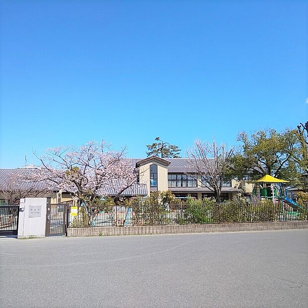 照蓮院さくら幼稚園（約563m）