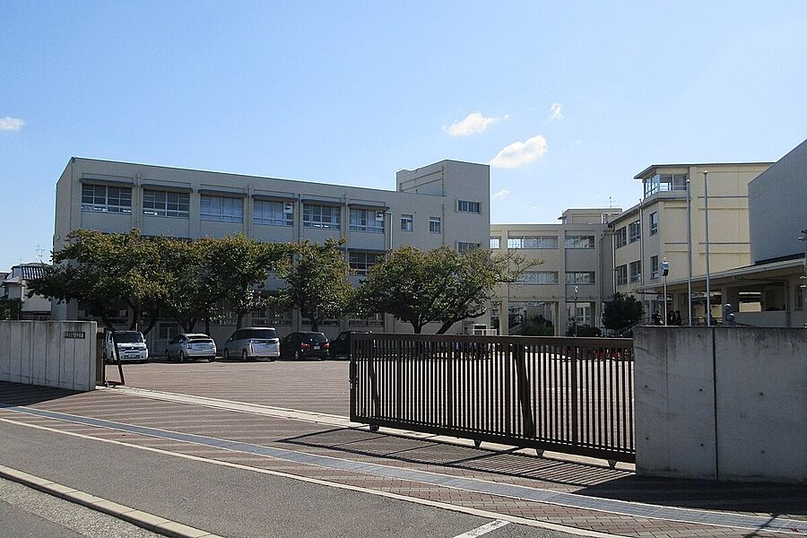 上野芝中学校